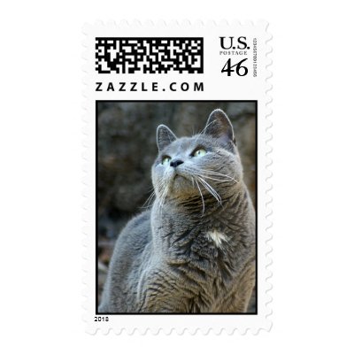 Wanda-Gazes Stamp by koduckgirl