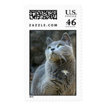 Wanda-Gazes postage by koduckgirl Wanda-Gazes postage