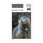 Wanda-Gazes Stamp