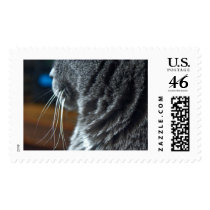 Wandas Whiskas postage