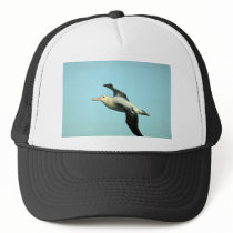 Wandering Albatross In Flight Hat