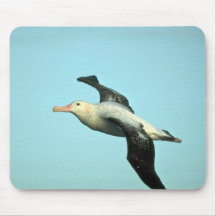 Wandering Albatross In Flight Mouse Pads