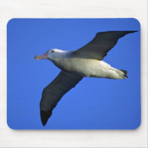 Wandering Albatross In Flight Mousepad