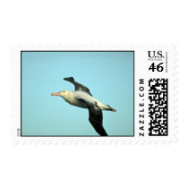 Wandering Albatross In Flight Postage