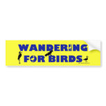 Wandering For Birds