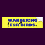 Wandering For Birds