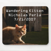 Wandering Kitten Mouse pad