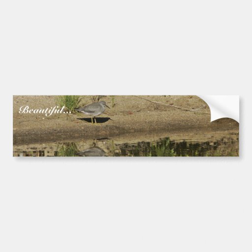 Wandering Tattler at Sithylemenkat Lake Bumper Sticker