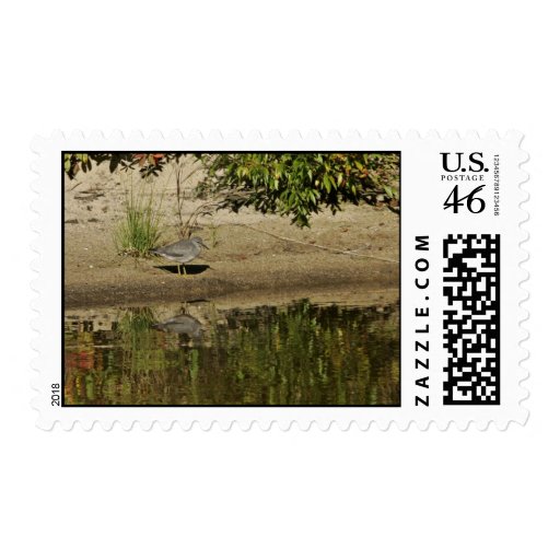 Wandering Tattler at Sithylemenkat Lake Stamp