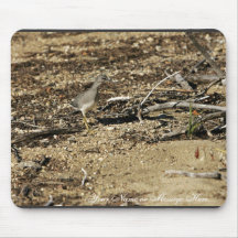 Wandering Tattler Mousepad