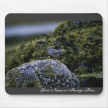 Wandering tattler mousepads