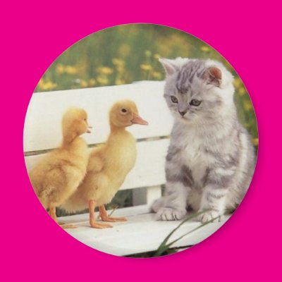 Wanna Be Friends Fridge Magnets Zazzle_magnet