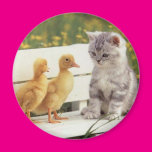 Wanna Be Friends Fridge Magnets