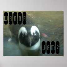 Wanna Jam Penguin Poster
