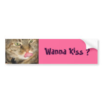Wanna Kiss ? bumper stickers by DonnaGrayson Wanna Kiss ? bumper stickers