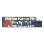 Wanna Know What I'm Up To? - Bomb Bumper Sticker