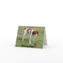 Wanna play?? cards by elaineinalaska Wanna play?? cards