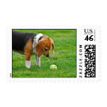 Wanna Play? postage