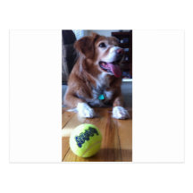 Wanna Play Postcards