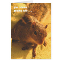wanna see my nuts . . . greeting cards
