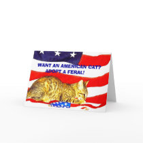 Want an American Cat?  Adopt a Feral! Cards