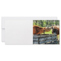 Want to Hear a Secret? Rack Card Design