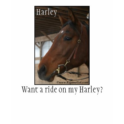 Want to ride on my Harley? T-Shirt by EquineGal