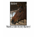 Want to ride on my Harley? T-Shirt by EquineGal Want to ride on my Harley? T-Shirt