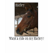 Want to ride on my Harley? T-Shirt by EquineGal Want to ride on my Harley? T-Shirt