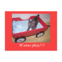 , Wanta play??! postcards by KatAnnette , Wanta play??! postcards