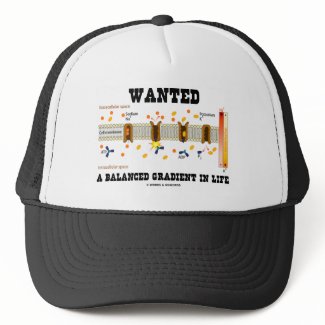 Wanted A Balanced Gradient In Life (Na-K Pump) hat