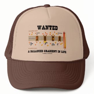 Wanted A Balanced Gradient In Life (Na-K Pump) hat