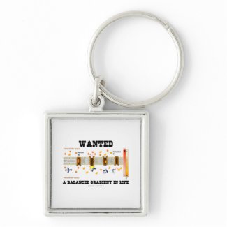 Wanted A Balanced Gradient In Life (Na-K Pump) keychain
