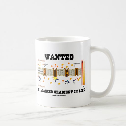 Wanted A Balanced Gradient In Life (Na-K Pump) Mugs
