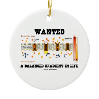Wanted A Balanced Gradient In Life (Na-K Pump) ornament