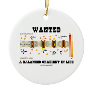 Wanted A Balanced Gradient In Life (Na-K Pump) Christmas Tree Ornaments