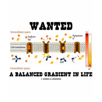 Wanted A Balanced Gradient In Life (Na-K Pump) shirt