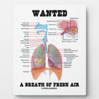 Wanted A Breath Of Fresh Air (Respiratory System) Display Plaques