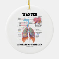 Wanted A Breath Of Fresh Air (Respiratory System) Double-Sided Ceramic Round Christmas Ornament