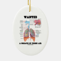 Wanted A Breath Of Fresh Air (Respiratory System) Double-Sided Oval Ceramic Christmas Ornament