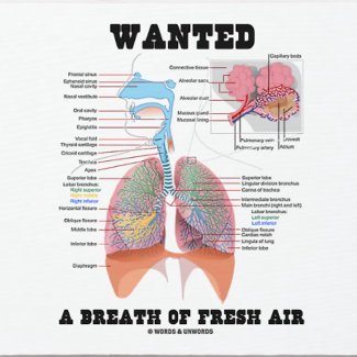 Wanted A Breath Of Fresh Air (Respiratory System) mousepad