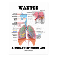 Wanted A Breath Of Fresh Air (Respiratory System) Postcard