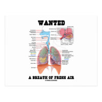 Wanted A Breath Of Fresh Air (Respiratory System) Postcard