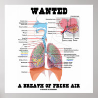 Wanted A Breath Of Fresh Air (Respiratory System) Poster