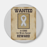 Wanted: A Cure for Brain Cancer Magnets