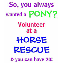 wanted a, PONY?, So, you always, Volunteer, at ... t-shirts by GlendaJo wanted a, PONY?, So, you always, Volunteer, at ... t-shirts