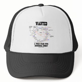 Wanted A World Filled With Biochemical Energy hat