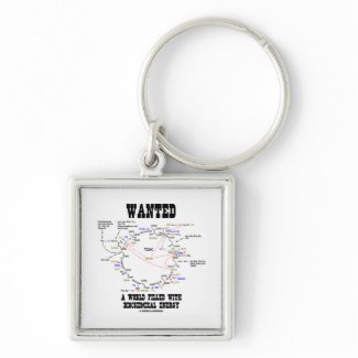Wanted A World Filled With Biochemical Energy keychain