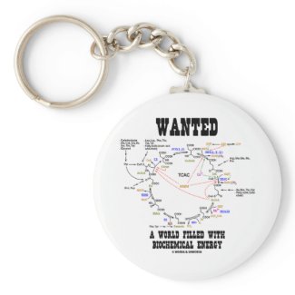 Wanted A World Filled With Biochemical Energy keychain