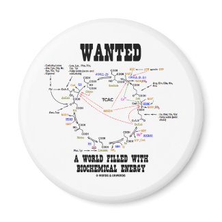 Wanted A World Filled With Biochemical Energy magnet